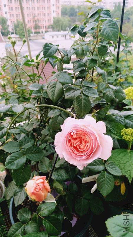 ��Ƭ 090.jpg