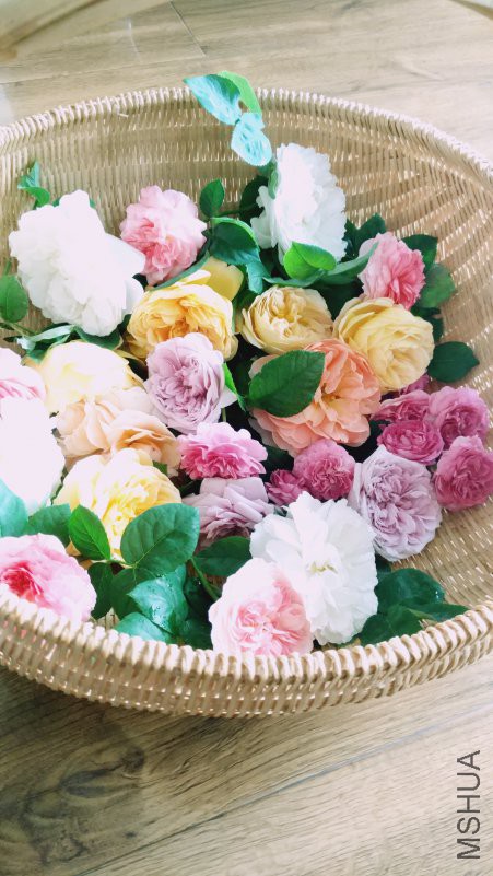��Ƭ 089.jpg