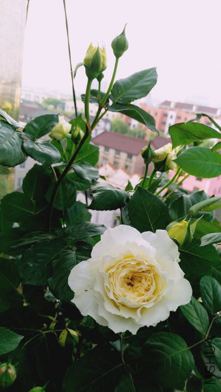��Ƭ 085.jpg