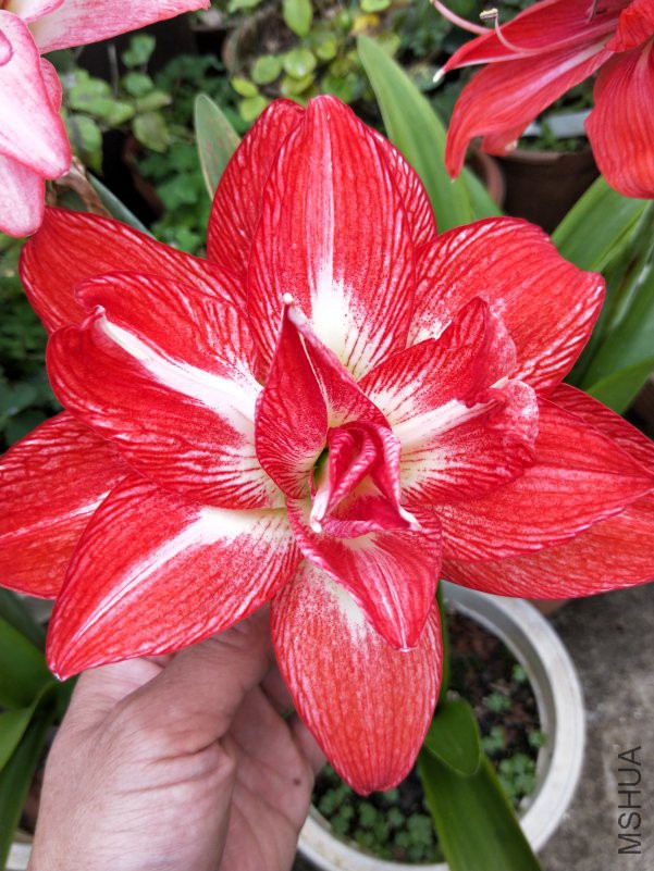 IMG20180508162630.jpg