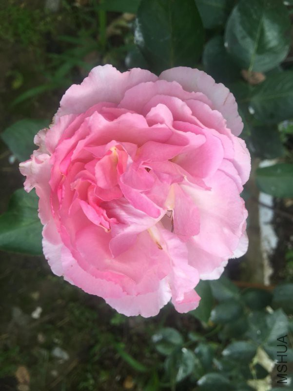 ΢��ͼƬ_20180509084836.jpg