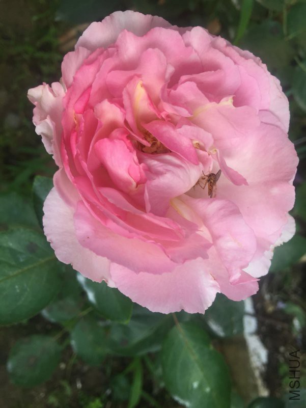 ΢��ͼƬ_20180509084843.jpg