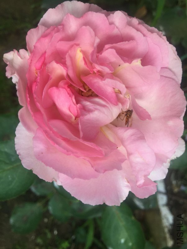 ΢��ͼƬ_20180509084847.jpg