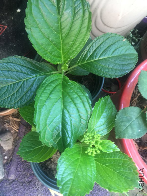 ΢��ͼƬ_20180509084810.jpg