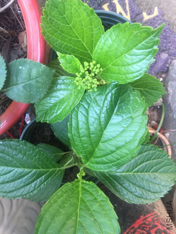 ΢��ͼƬ_20180509084831.jpg