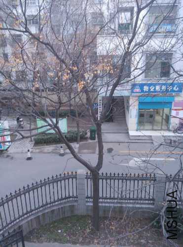20151201.jpg