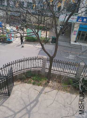 20160304.jpg