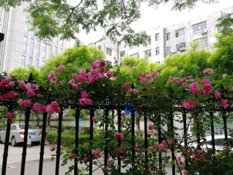 20180509084110.jpg
