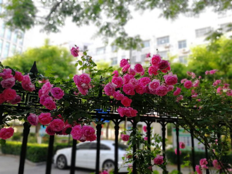 20180509084134.jpg