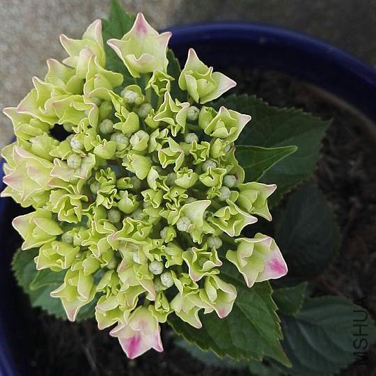 ΢��ͼƬ_20180507111307.jpg