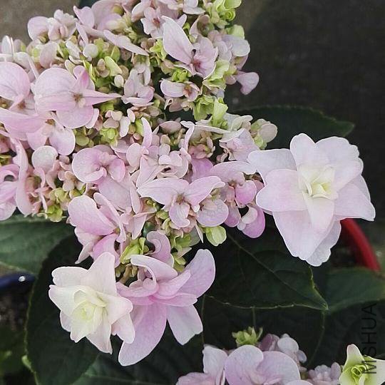 ΢��ͼƬ_20180507111319.jpg