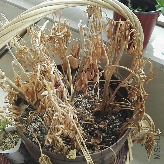΢��ͼƬ_20180507111340.jpg