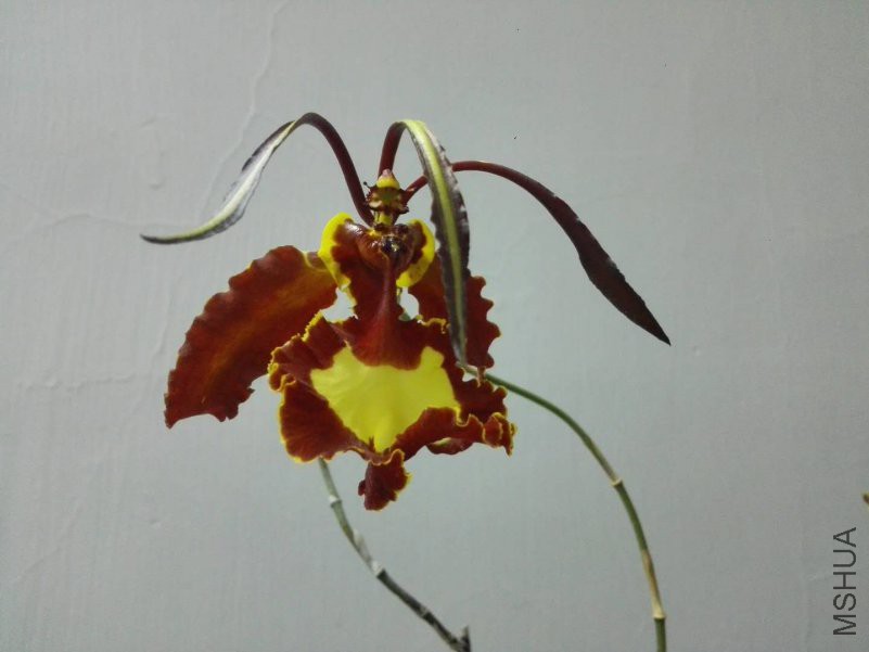 ΢��ͼƬ_20180509152155.jpg