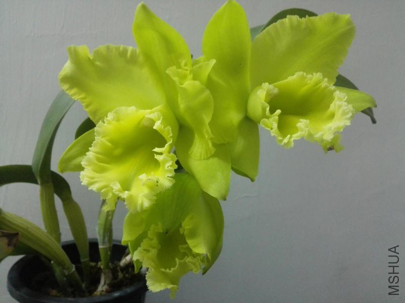 ΢��ͼƬ_20180509152209.jpg