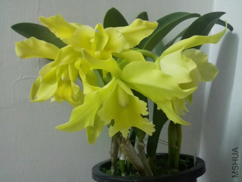 ΢��ͼƬ_20180509152329.jpg
