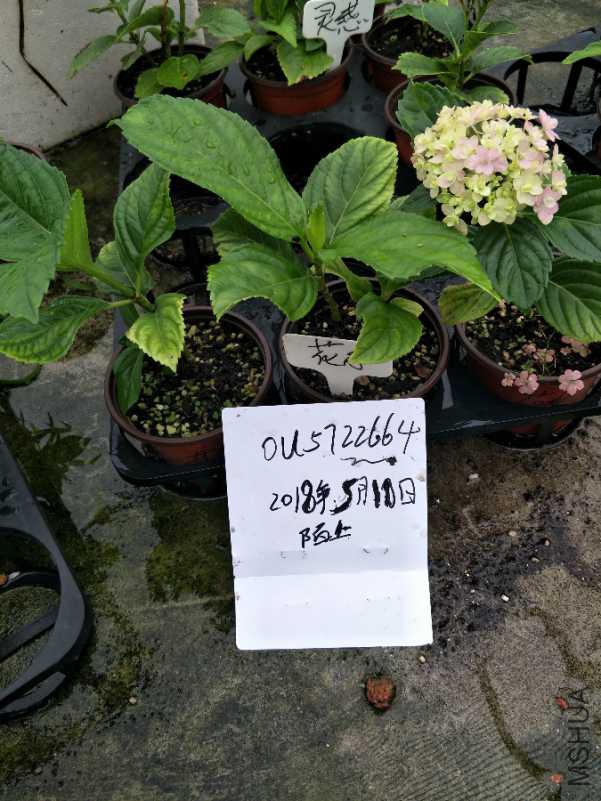 IMG20180510101126.jpg