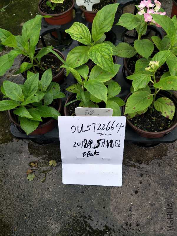 IMG20180510100953.jpg