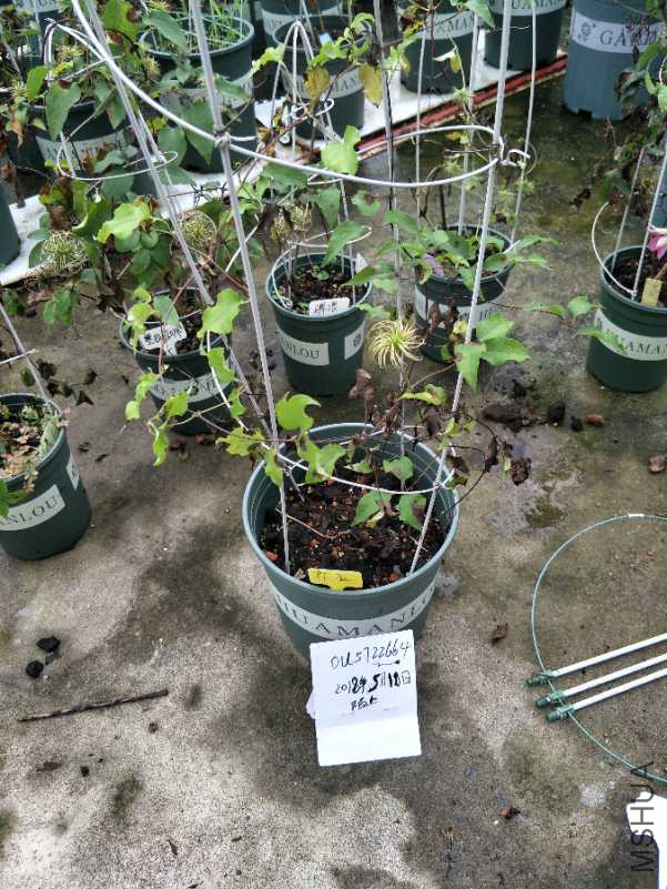 IMG20180510110129.jpg