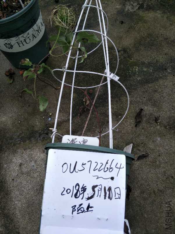 IMG20180510105847.jpg