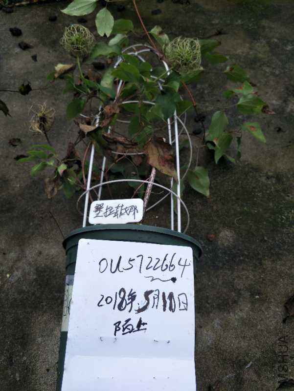 IMG20180510105837.jpg