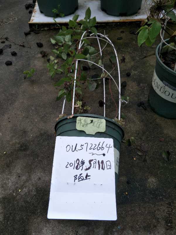 IMG20180510105822.jpg