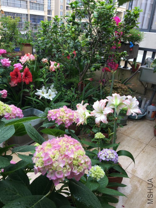 IMG_0210.JPG
