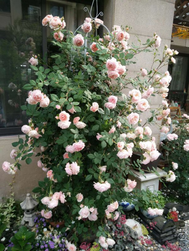 ΢��ͼƬ_20180510145340.jpg