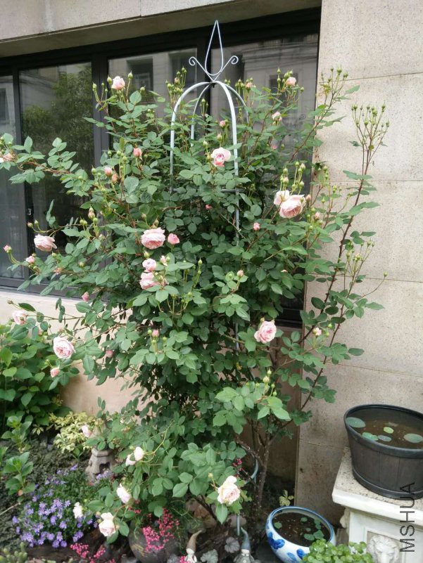 ΢��ͼƬ_20180510145349.jpg