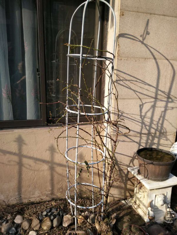 ΢��ͼƬ_20180510145401.jpg