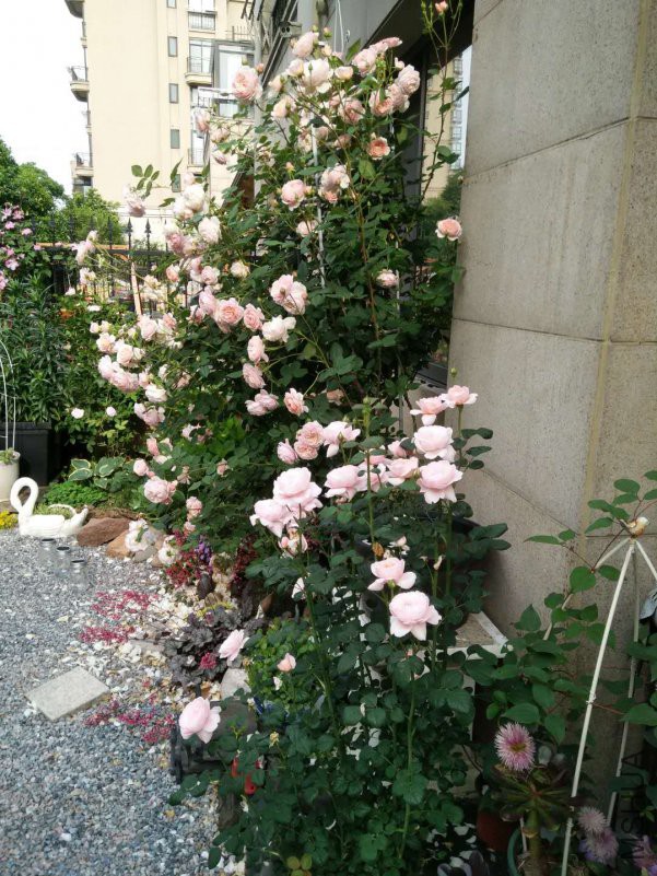΢��ͼƬ_20180510145720.jpg