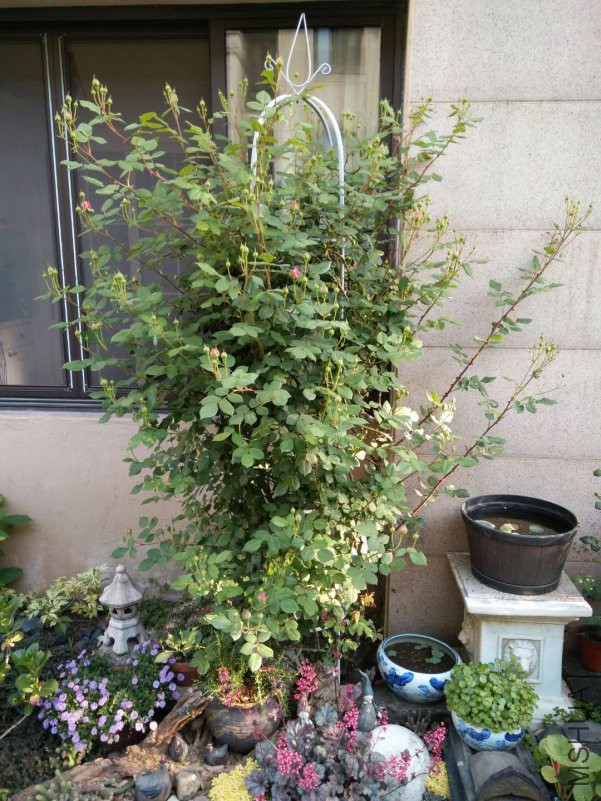 ΢��ͼƬ_20180510151100.jpg