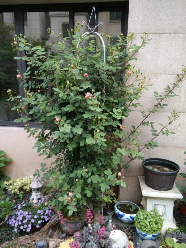΢��ͼƬ_20180510151902.jpg
