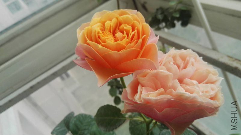 ΢��ͼƬ_20180510152017.jpg
