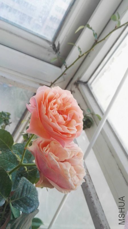 ΢��ͼƬ_20180510152028.jpg