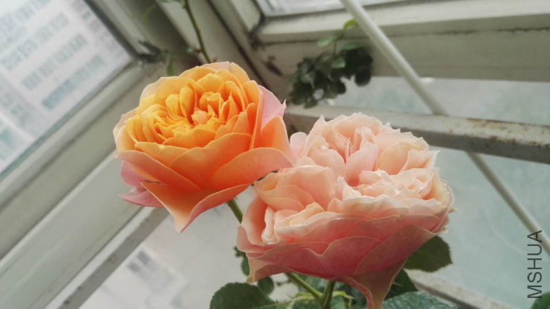 ΢��ͼƬ_20180510152035.jpg