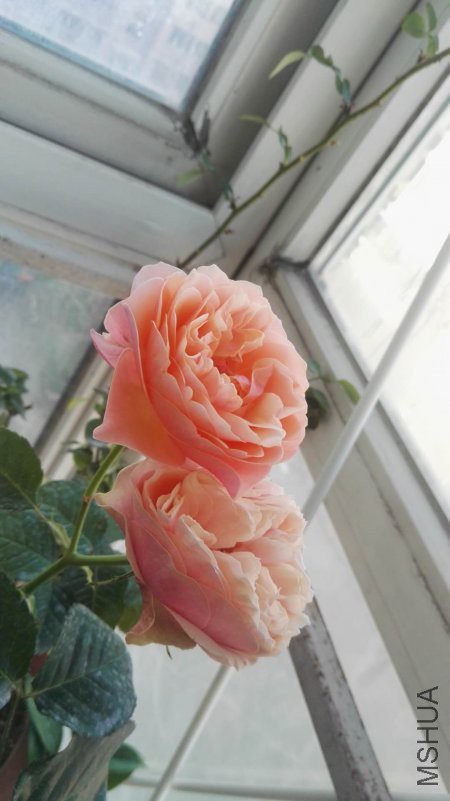 ΢��ͼƬ_20180510152042.jpg