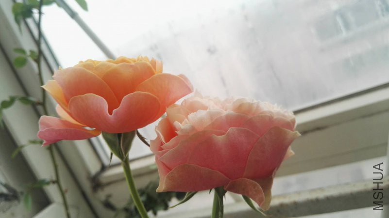 ΢��ͼƬ_20180510152049.jpg