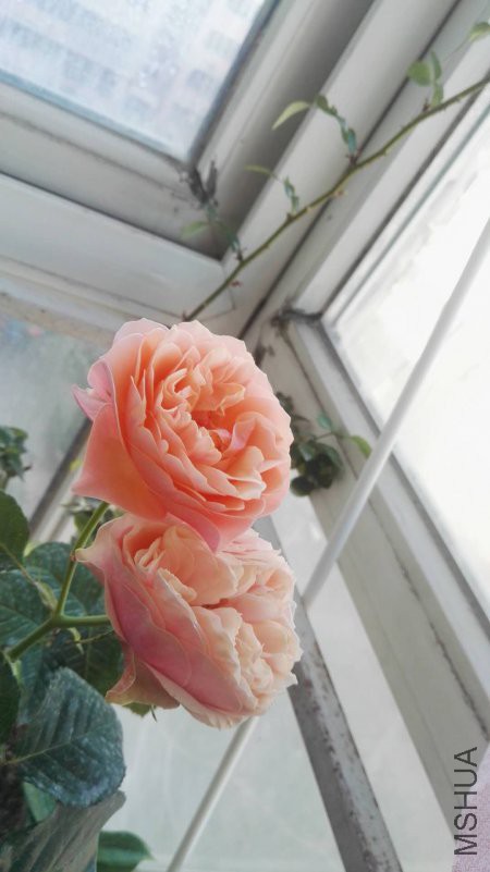 ΢��ͼƬ_20180510152053.jpg