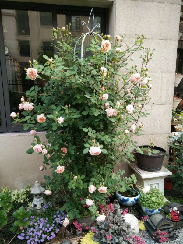 ΢��ͼƬ_20180510153030.jpg