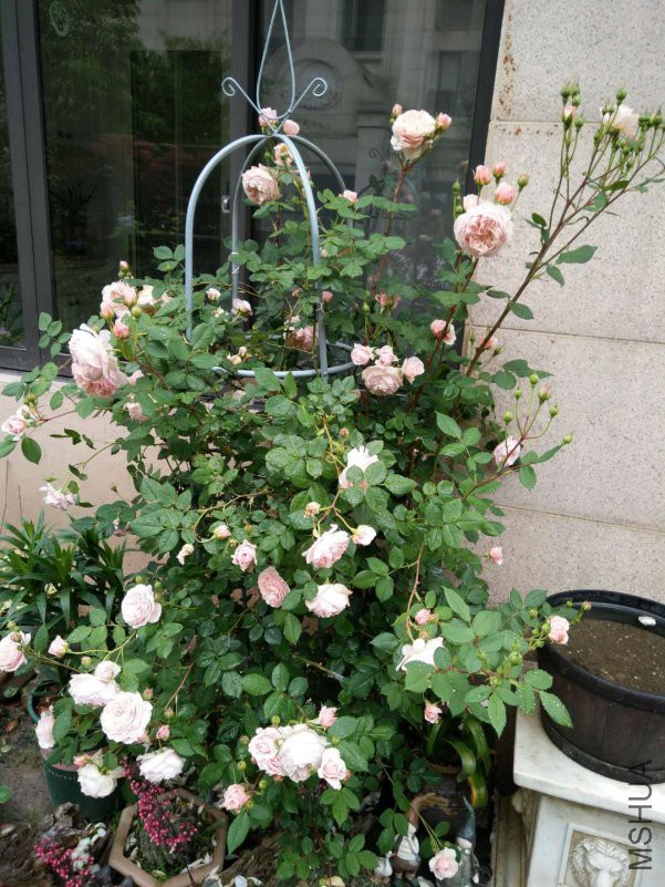 ΢��ͼƬ_20180510145405.jpg