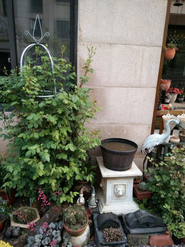 ΢��ͼƬ_20180510145425.jpg