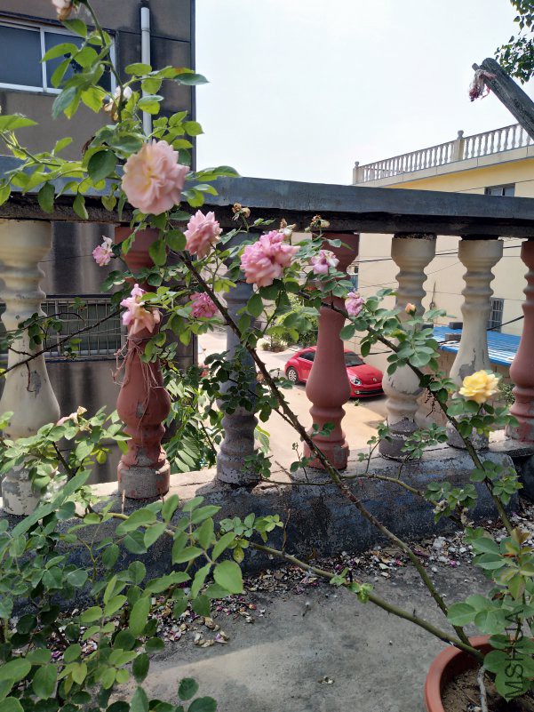 IMG_20180510_131926.jpg