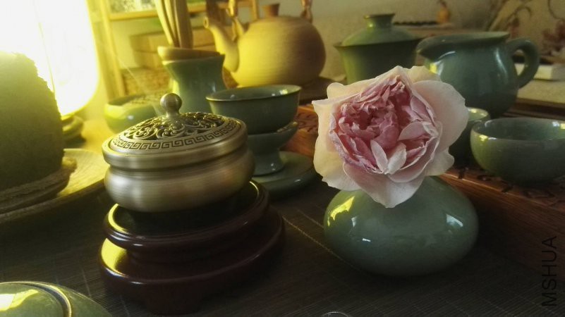 ΢��ͼƬ_20180510175824.jpg
