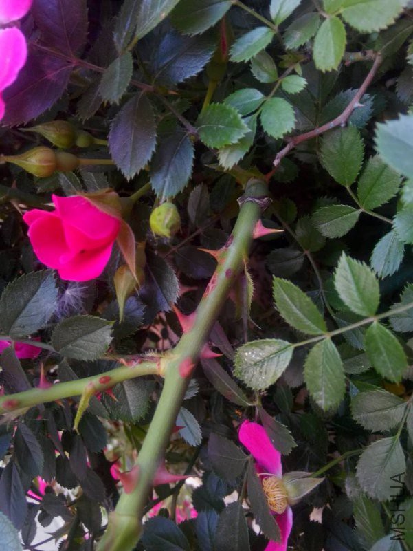 ΢��ͼƬ_20180510203014.jpg