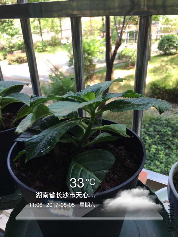 37ADA6D5-50DF-4661-903D-CABBB726ECD6.jpeg