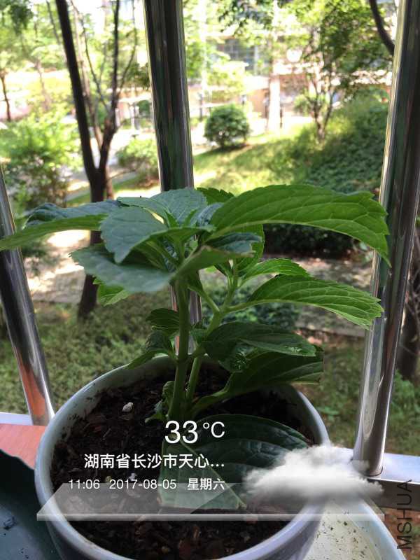 E7349E30-E887-4BDA-A134-0F7D736D276A.jpeg