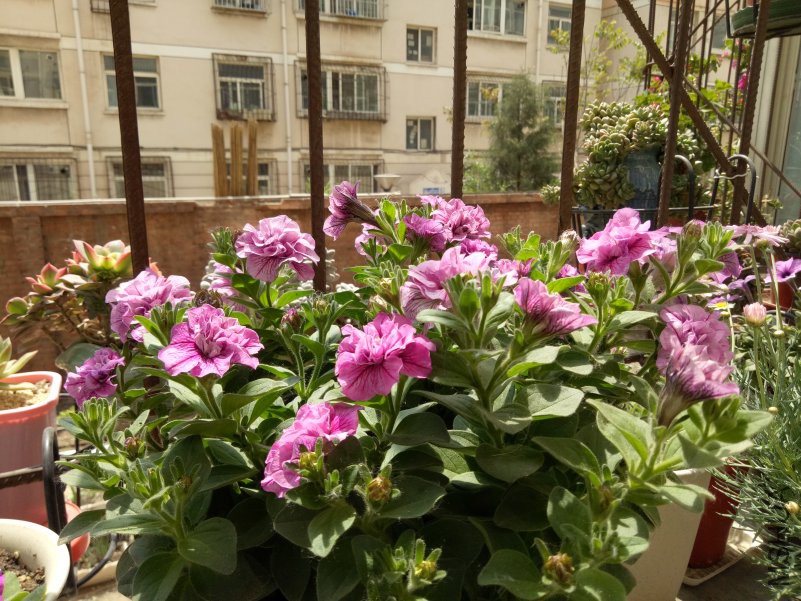 IMG20180509123506.jpg