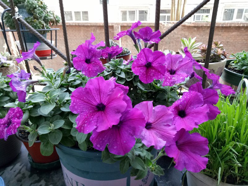 IMG20180506170909.jpg
