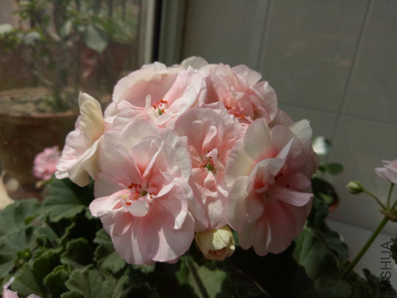 IMG20180509121118.jpg