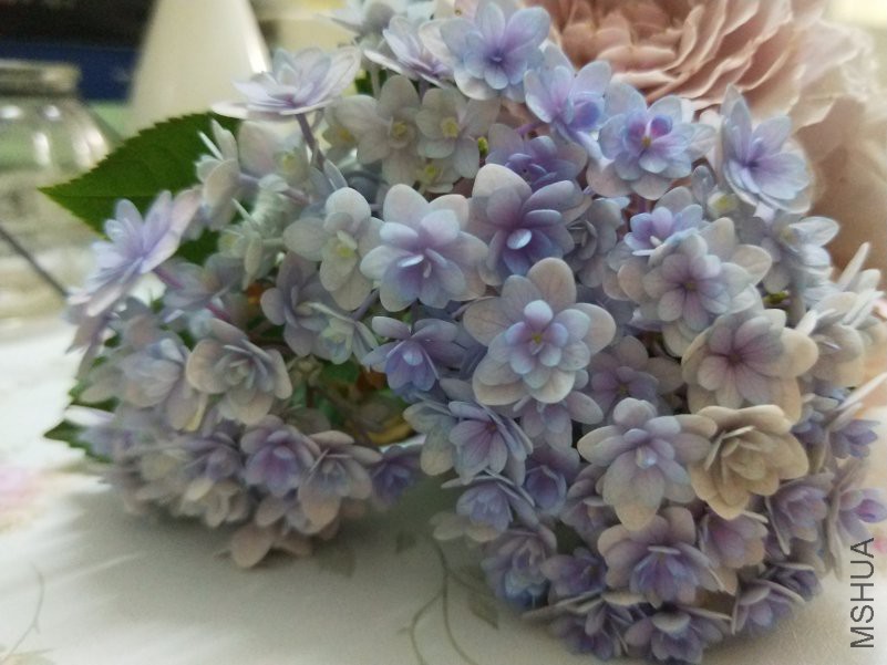 IMG20180414131629.jpg